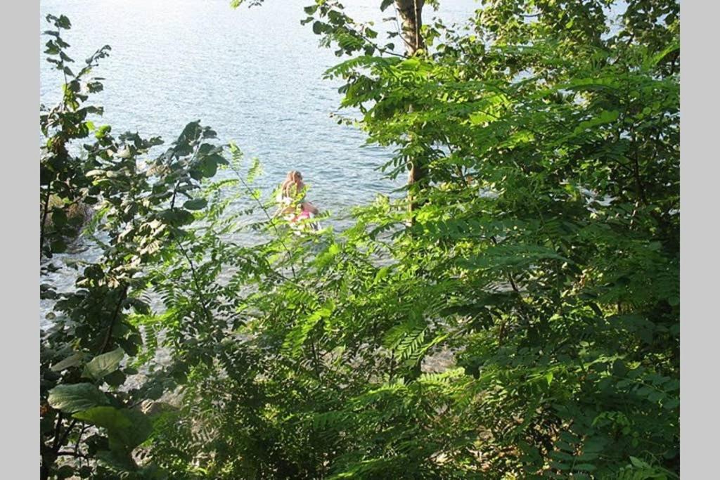 פטנאסקו Lake Orta Openspace Garden Beach מראה חיצוני תמונה